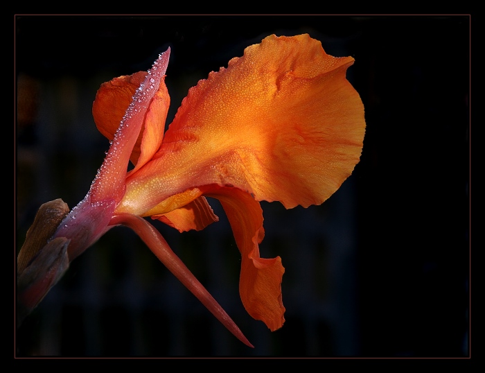 A rána jsou zde chladná ....