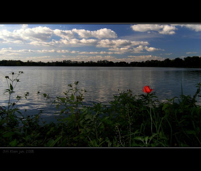 Poslední vlčí mák...