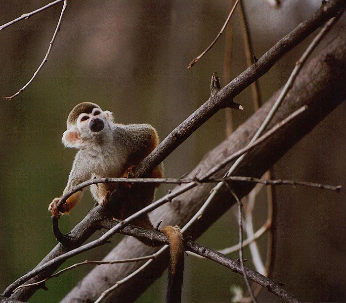 Co to tam dělají??