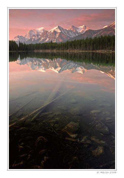 Herbert Lake