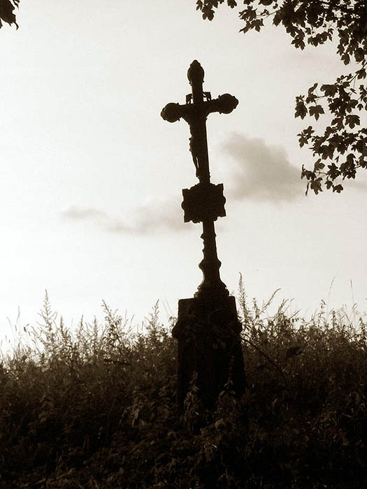 Zátiší I.