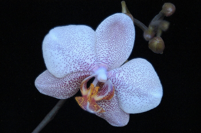 Moje úplně první...