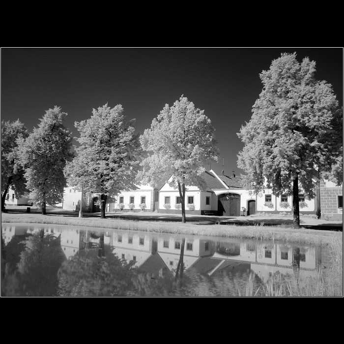 Holasovice
