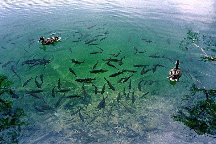 Plitvice