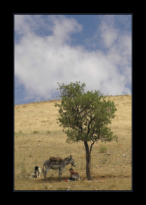 Uzbek Siesta