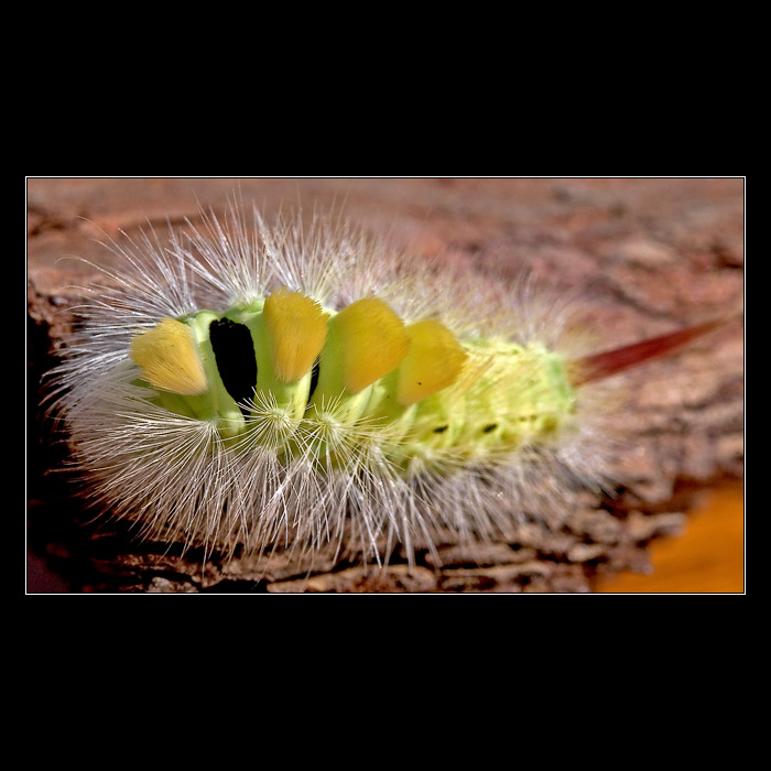 * Letos poslední aneb zalezu někam na zimu... *