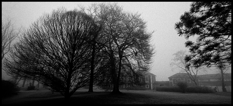 Návraty do veltruského parku VI.