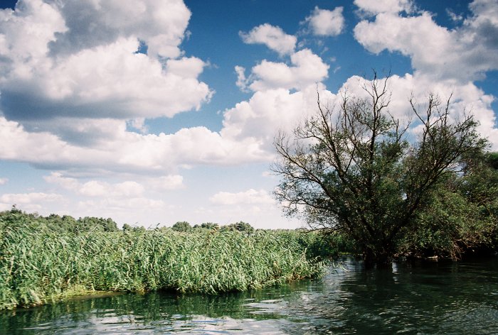 *** R O M A N I A - Danube Delta ***
