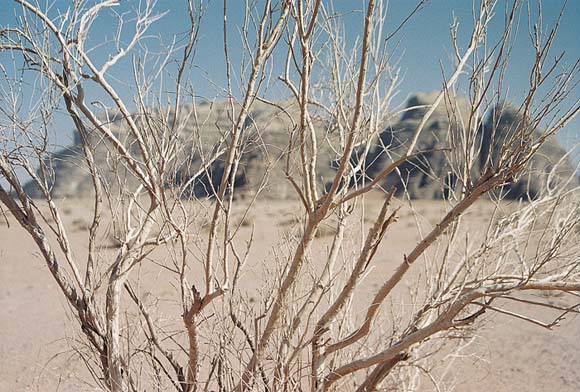 WADI RUM ...trochu inak