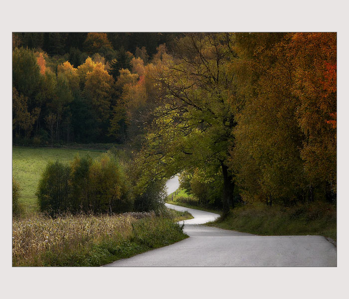 Barevna paleta podzimu