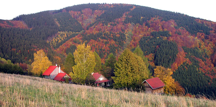 Pod Kamenitym/Slezské Beskydy