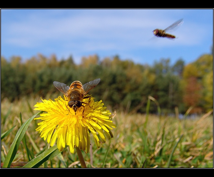 Tak už dělej, chci taky