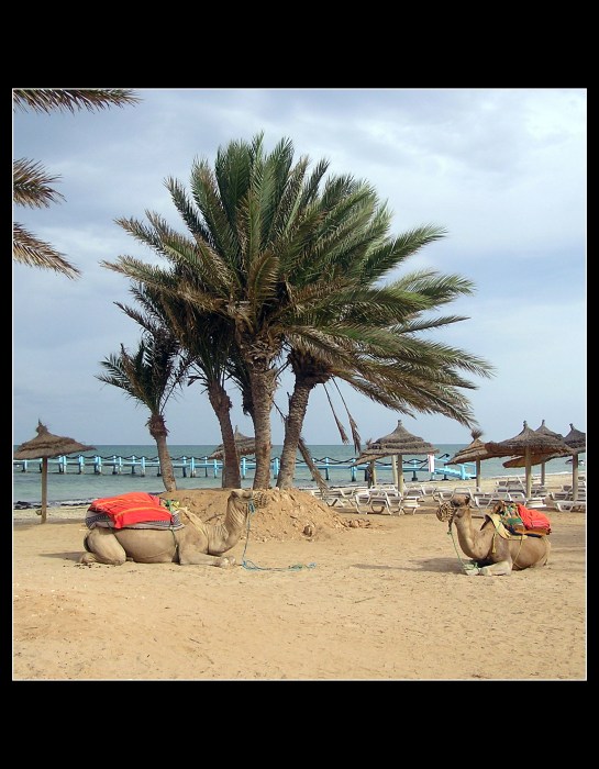 Djerba