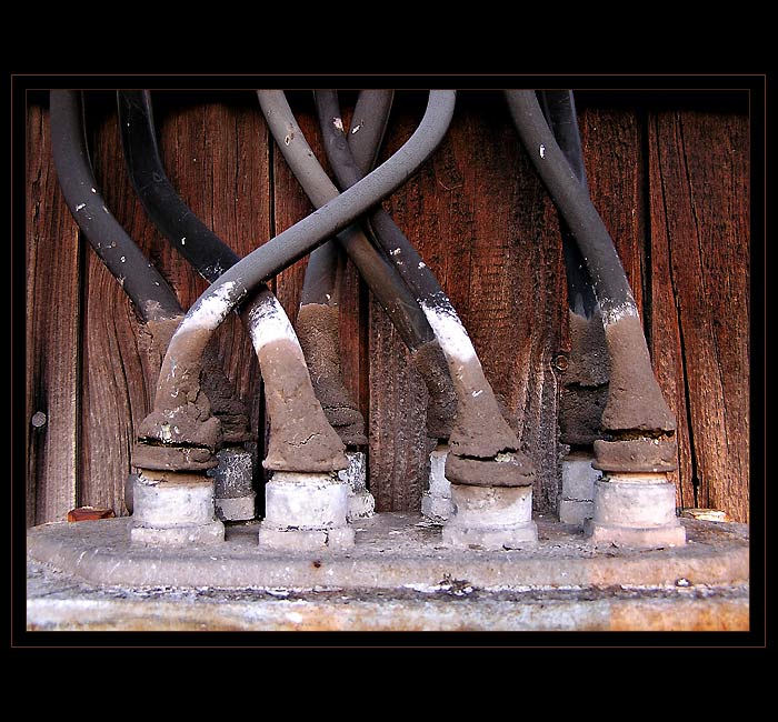 ...byl to ten slavný den,kdy k nám byl zaveden...