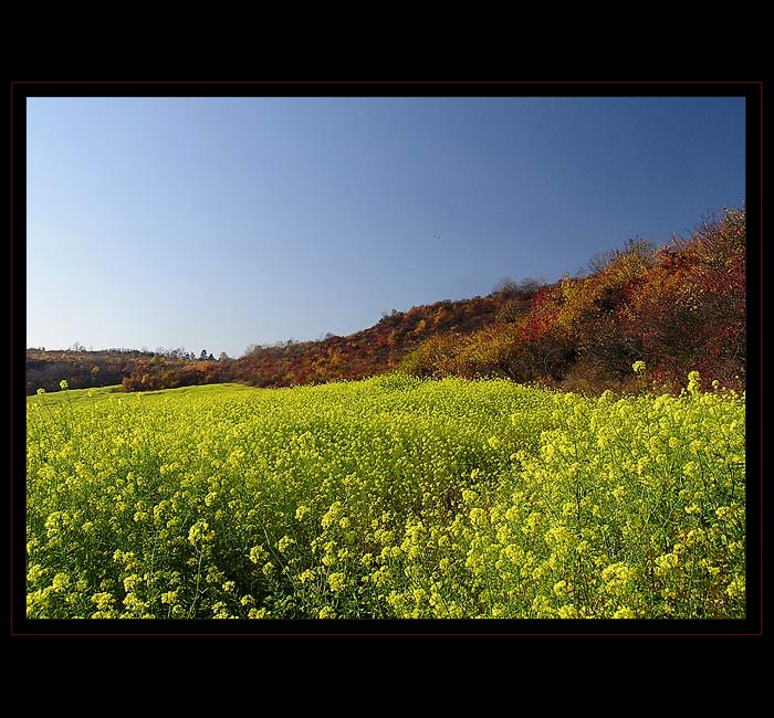 ...podzimní kontrasty