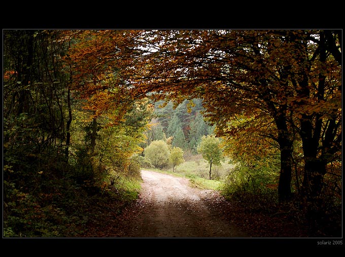 <B> .: autumn window :. </B>