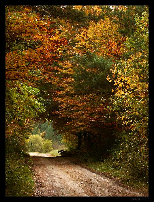 <B> .: autumn window II :. </B>