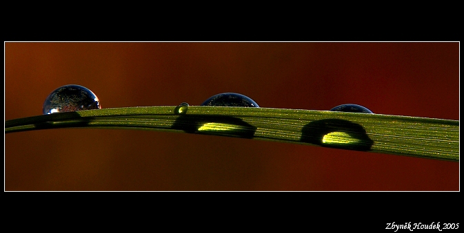 kapičky trochu jinak...