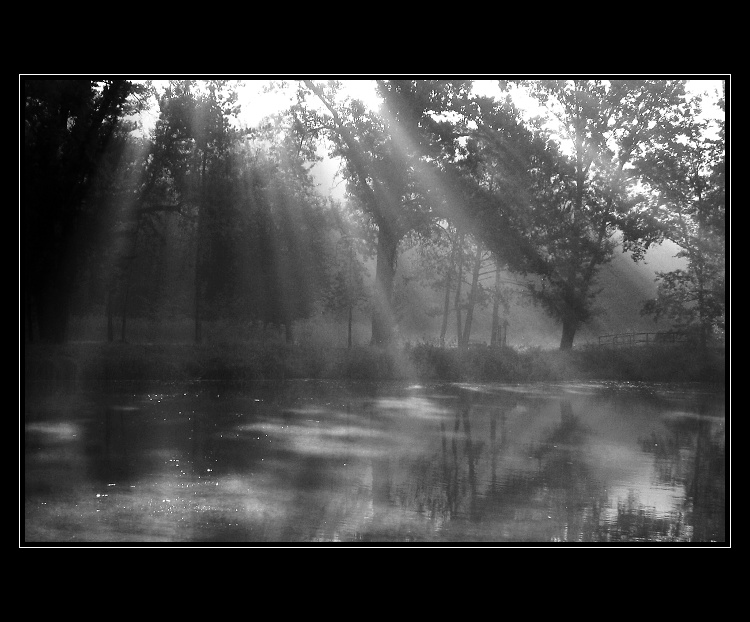 stín&světlo II