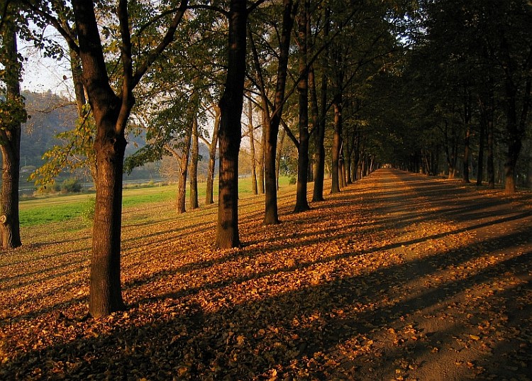 Podzimní podvečer u Vltavy