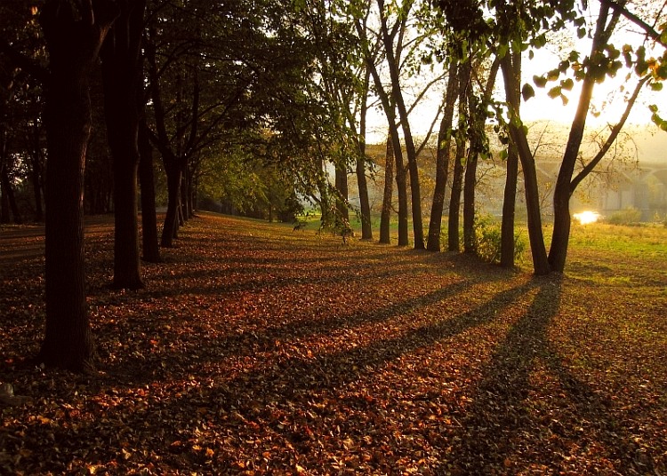 Podzimní podvečer u Vltavy II.