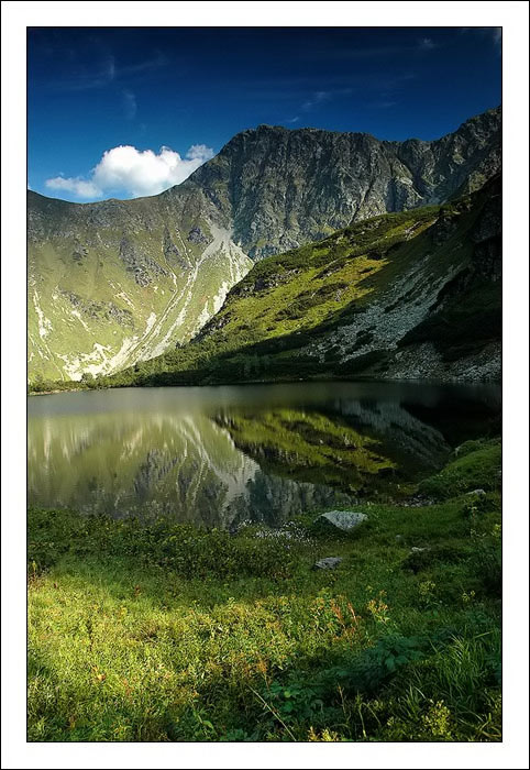 roháče VIII