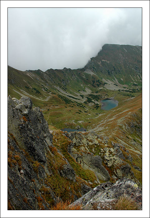roháče XI