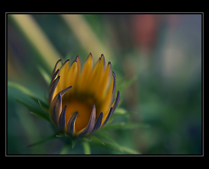  - No name -