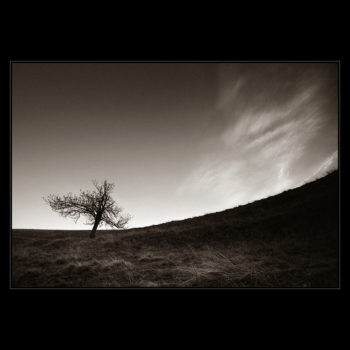 Solitér