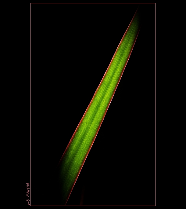 ..:: stÉbElko ::..