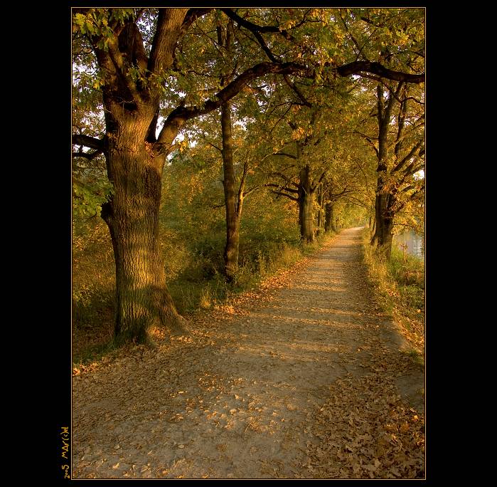 ..:: zlAtÁ cestA ::..