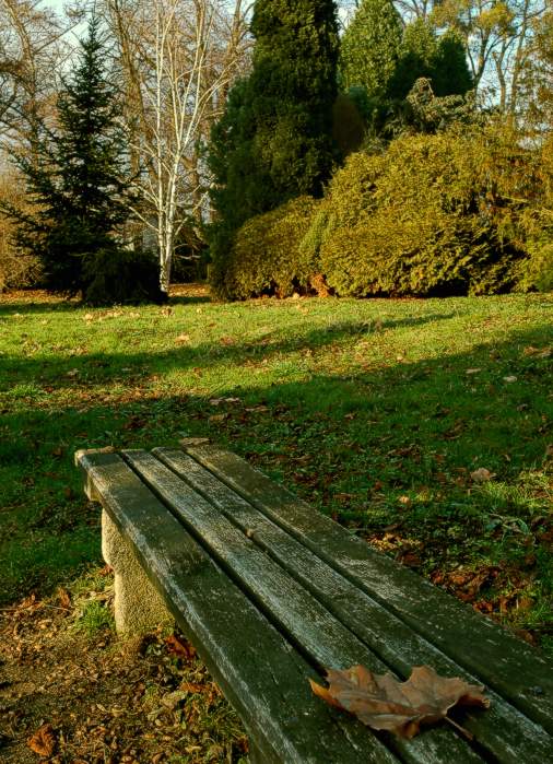 Podzimní stíny