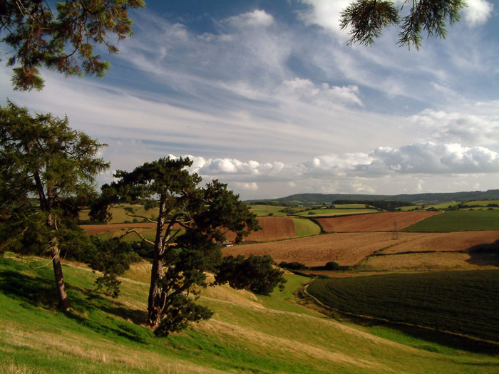 Devon Country