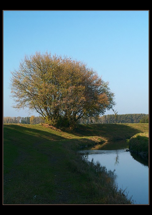 <b>** Regulovaná Jičínka **</b>