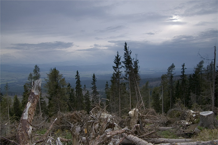 Tatry dnes