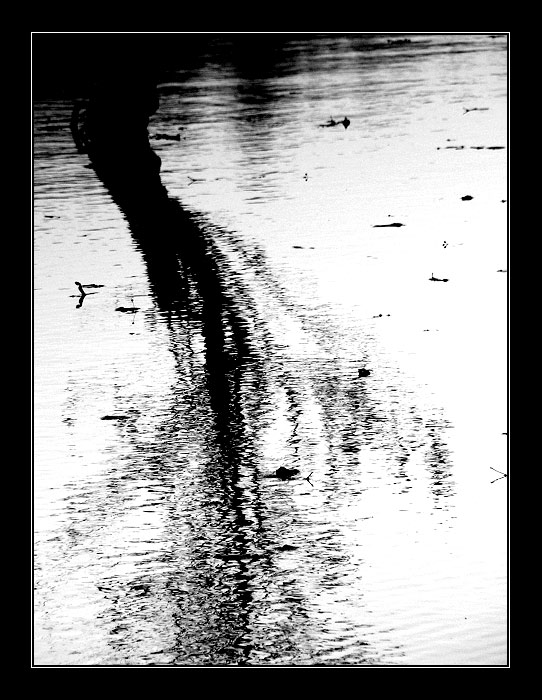 ...rybník U vrby...