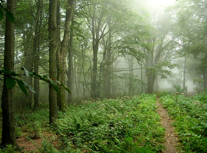 Cestou na rozhlednu :)