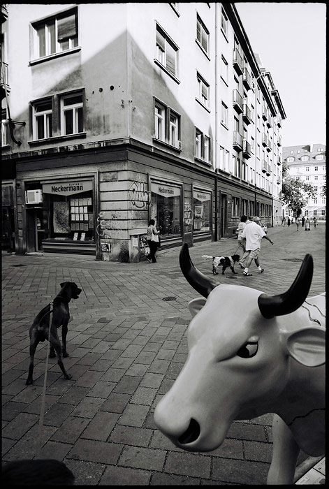 zverinec