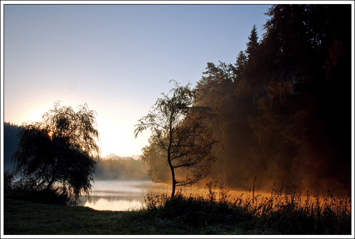 zvědavé sluníčko