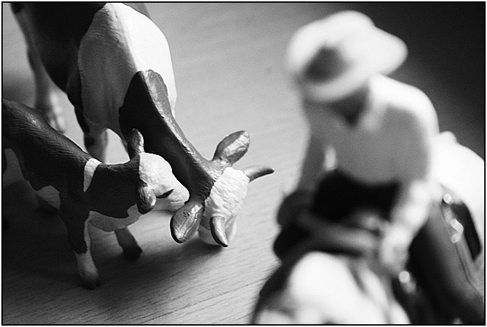 cowboy's dream