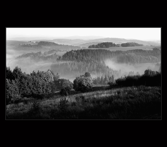 Mlhavé ráno v podhůří