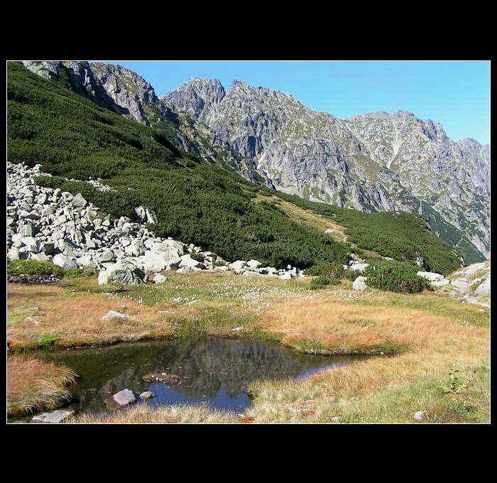 Zrkadielko hôr