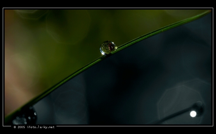 vlajka "Kapkistánu"