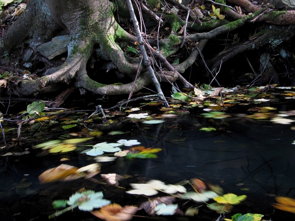 v tůňce se to vaří