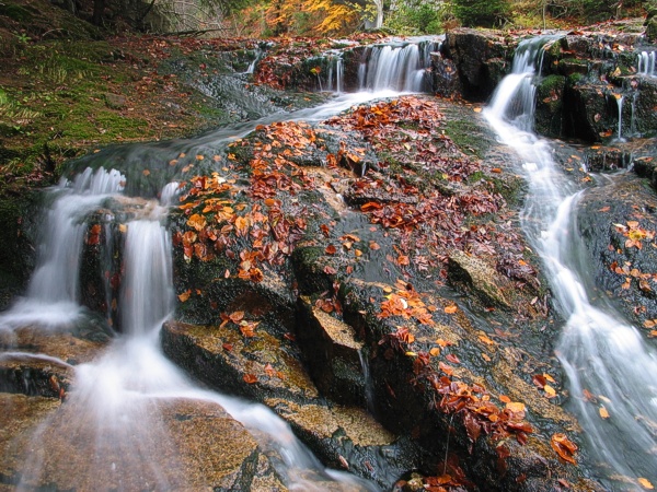 Bílé Labe - Krkonoše