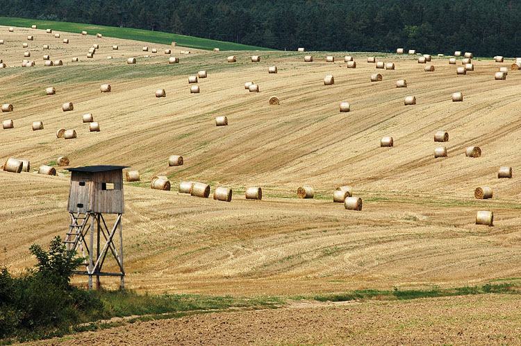 Poezie odcházejícího léta