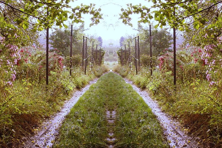 Všechny cesty vedou do