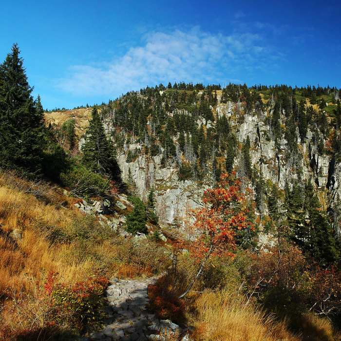 <b>Labská rokle</b>