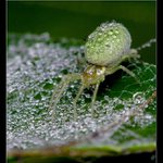 ...dnes je trošku vlhko...