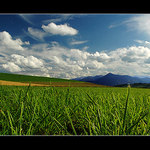 Nízké tatry skrz komprimovanou trávu